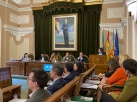 El PSPV critica la 'gran rebaixa fiscal' proposta per l'alcaldessa de Castell