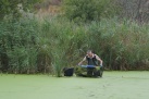Continua la campanya de seguiment i control de tortugues en el Paisatge Protegit de la Desembocadura del riu Millars