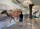 Exposici sobre la fauna del Termet i la paleontologia en El Mol