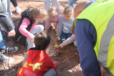 Escolares de Almenara plantan cerca de 250 ejemplares de pino carrasco y almez en la localidad