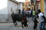 Hiere por asta de toro a un vecino de La Vall el astado de la ganadería de Raso del Portillo.