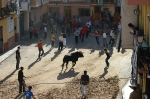 Hiere por asta de toro a un vecino de La Vall el astado de la ganadería de Raso del Portillo.